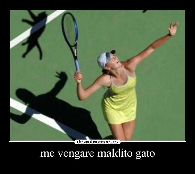 me vengare maldito gato -