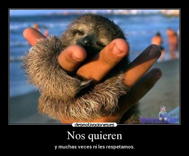 Nos quieren - y muchas veces ni les respetamos.