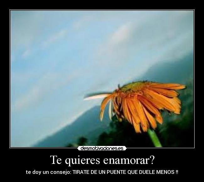 Te quieres enamorar? - te doy un consejo: TIRATE DE UN PUENTE QUE DUELE MENOS !!