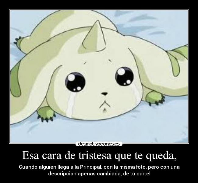 Esa cara de tristesa que te queda, - 