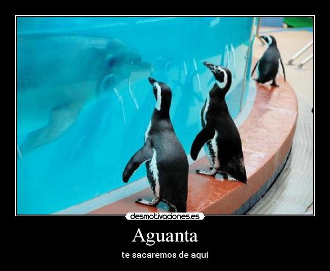 Aguanta - te sacaremos de aquí