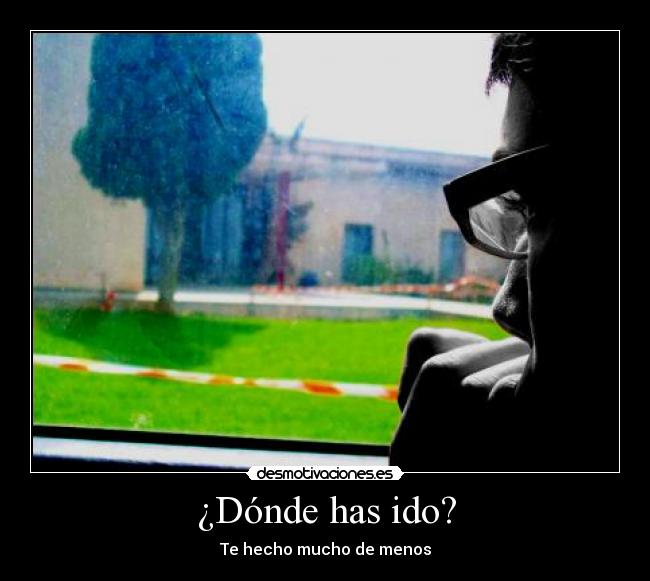 ¿Dónde has ido? - 
