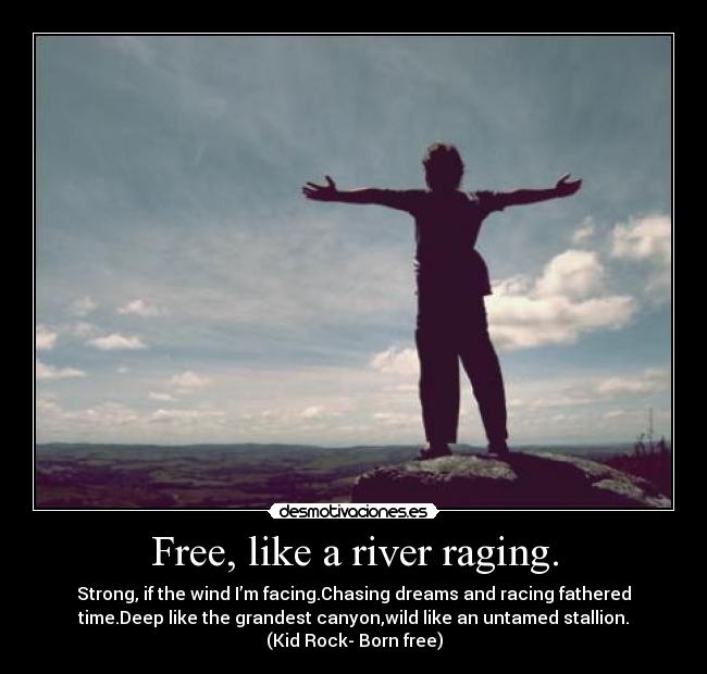 carteles free desmotivaciones