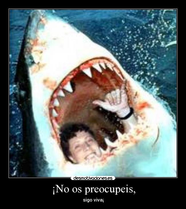 ¡No os preocupeis, -
