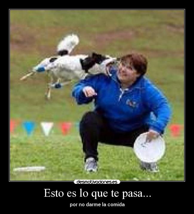 Esto es lo que te pasa... - por no darme la comida