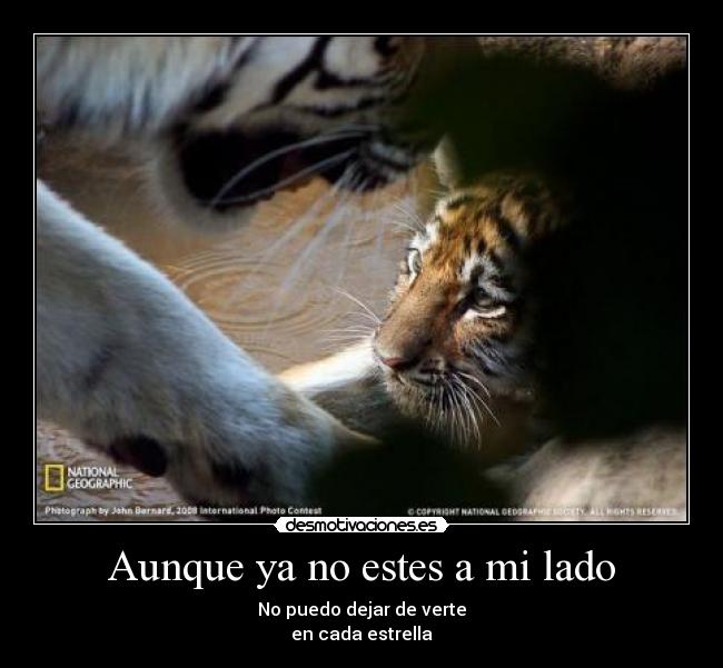 Aunque ya no estes a mi lado - 