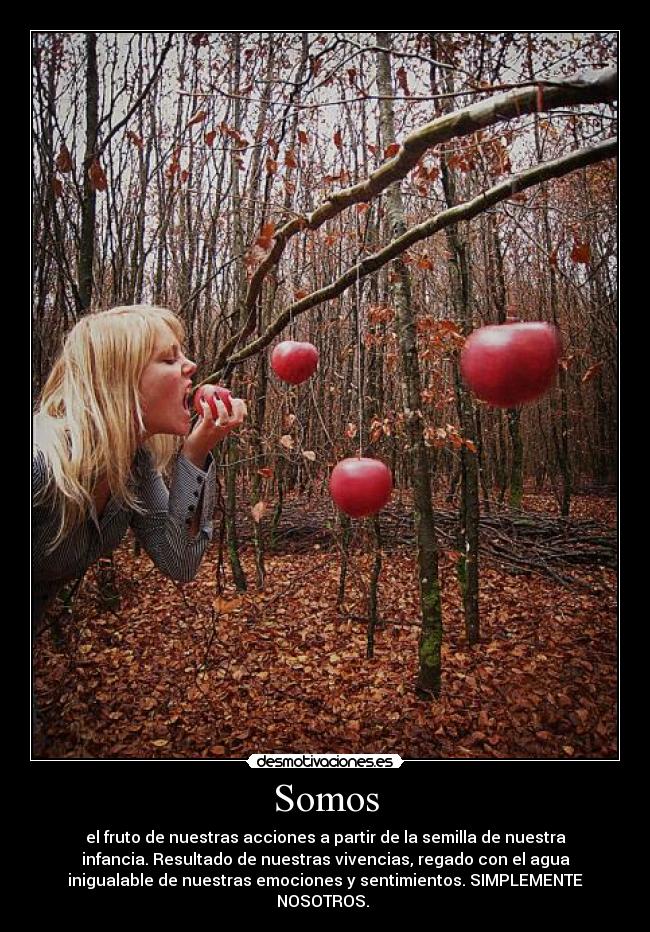 Somos - el fruto de nuestras acciones a partir de la semilla de nuestra
infancia. Resultado de nuestras vivencias, regado con el agua
inigualable de nuestras emociones y sentimientos. SIMPLEMENTE
NOSOTROS.