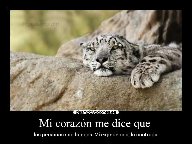Mi corazón me dice que  - las personas son buenas. Mi experiencia, lo contrario.