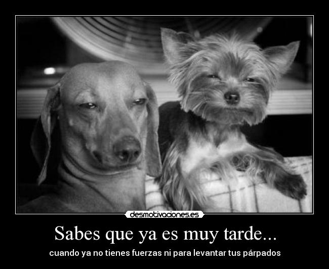 Sabes que ya es muy tarde... -