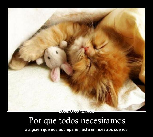 Por que todos necesitamos - a alguien que nos acompañe hasta en nuestros sueños.