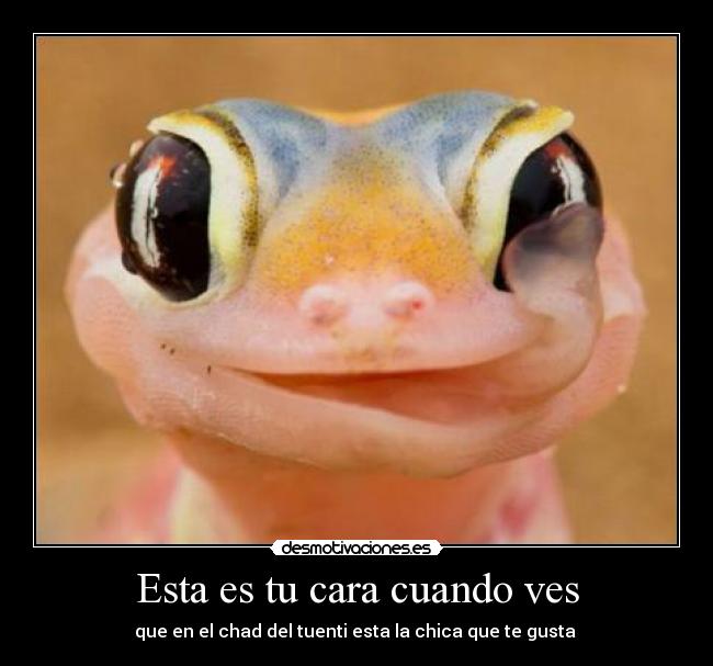 Esta es tu cara cuando ves - 