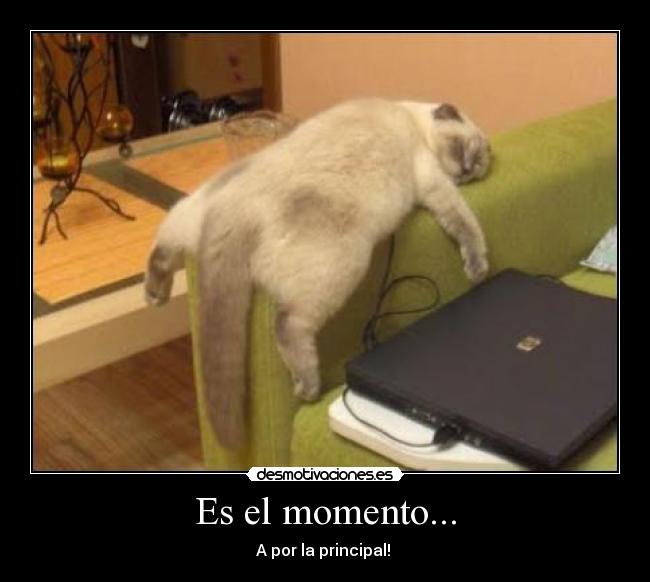 Es el momento... - A por la principal! 