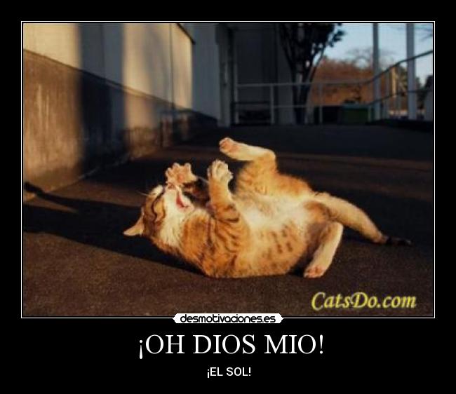 ¡OH DIOS MIO! - 