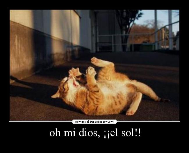 oh mi dios, ¡¡el sol!! -