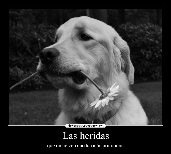 Las heridas - 