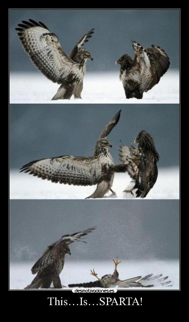 This…Is…SPARTA! - 