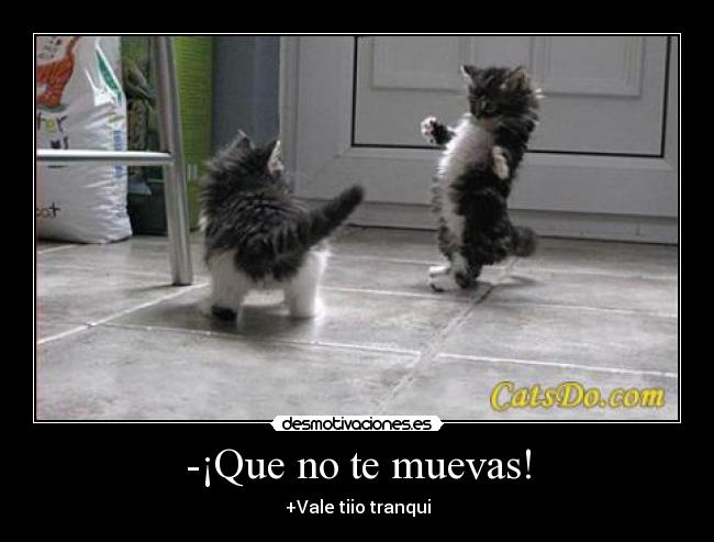-¡Que no te muevas! - +Vale tiio tranqui