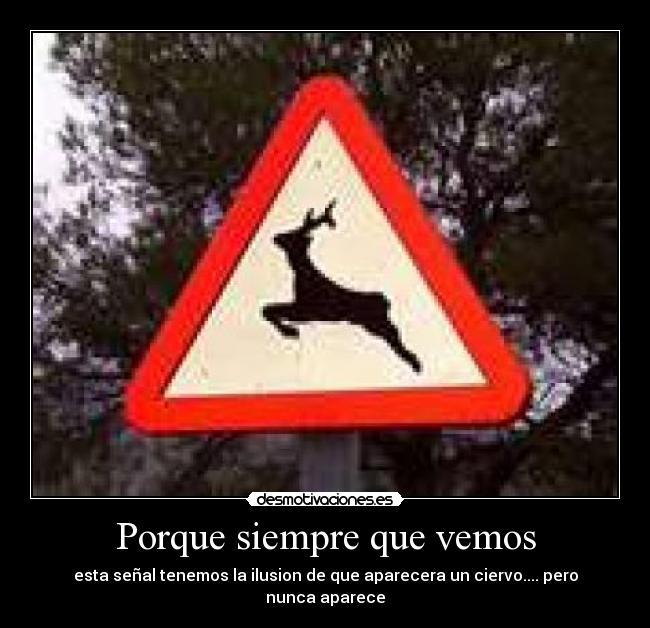 Porque siempre que vemos - 