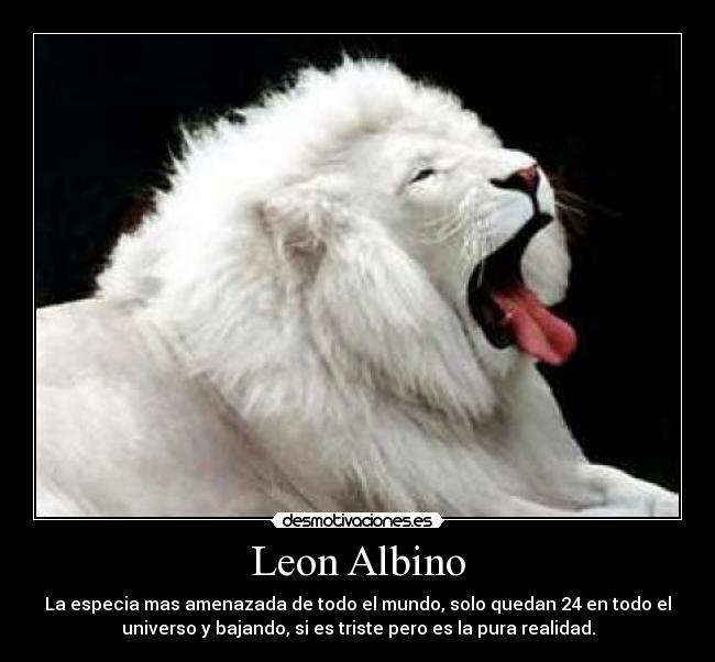 carteles tira-petardos desmotivaciones