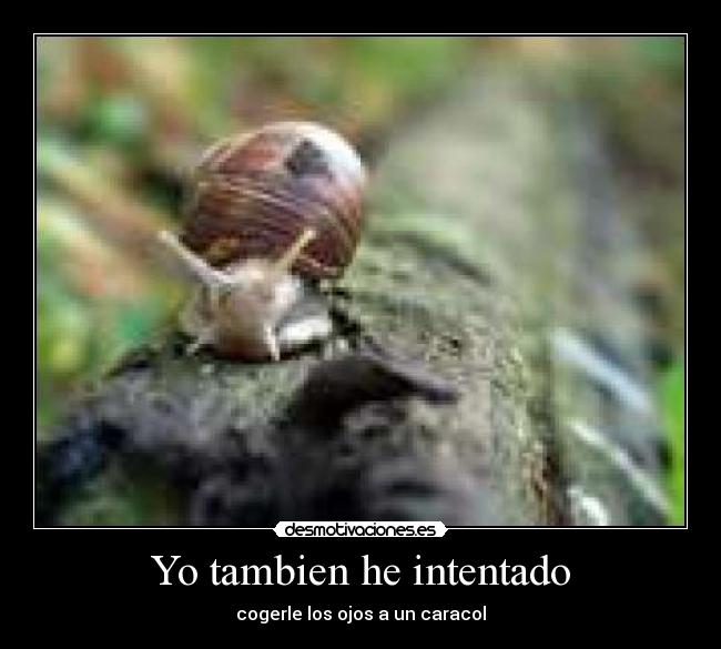 Yo tambien he intentado - cogerle los ojos a un caracol