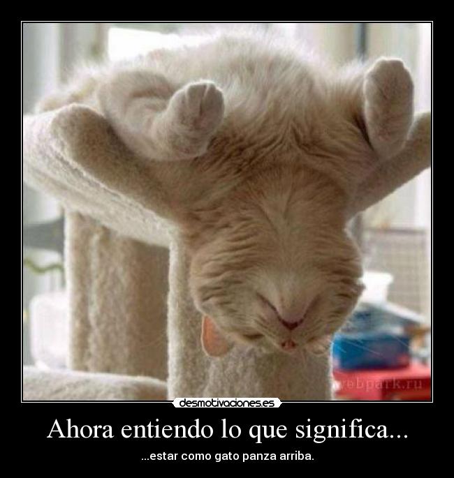 Ahora entiendo lo que significa... - 
