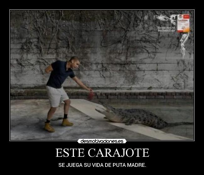 ESTE CARAJOTE - 