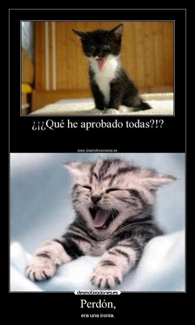 Perdón, - era una ironía.