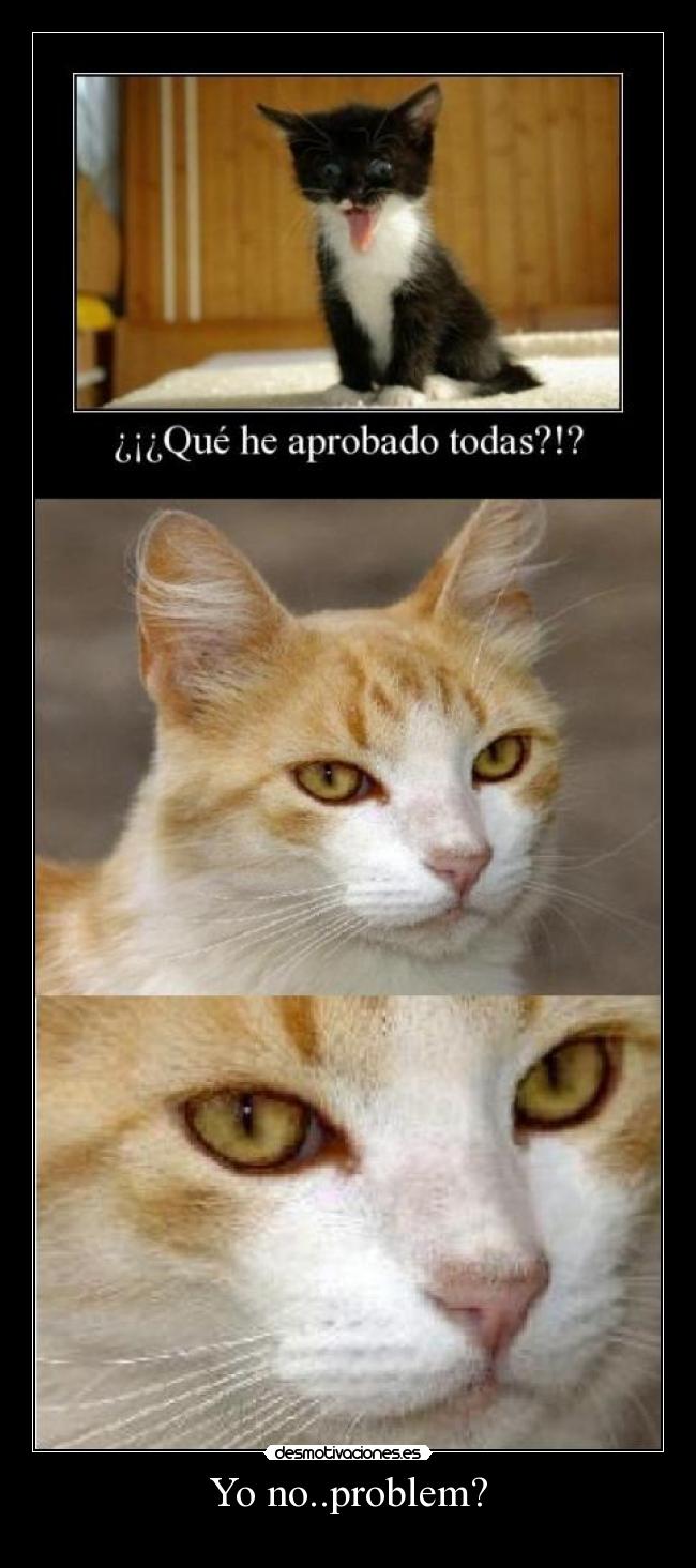 carteles cesar desmotivaciones