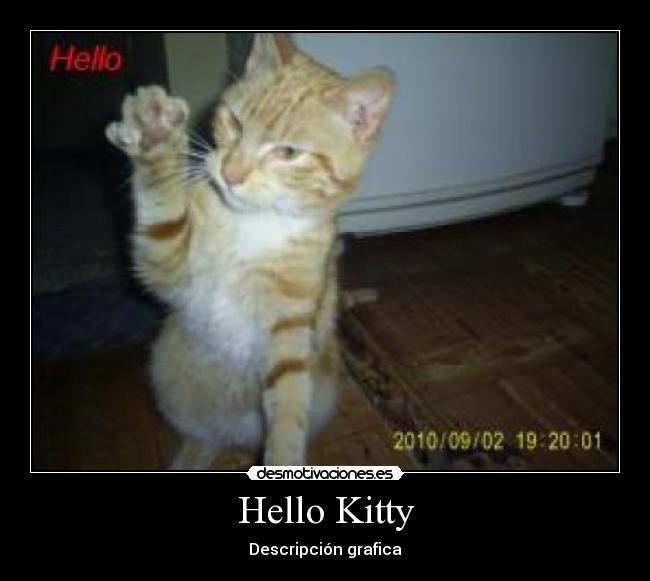 Hello Kitty -