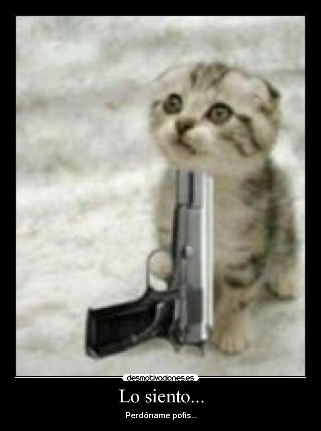 Lo siento... - Perdóname pofis...