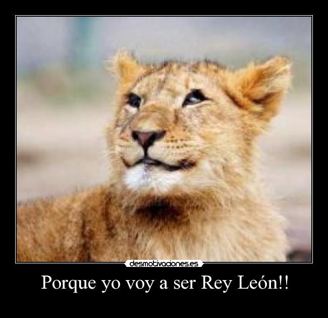 Porque yo voy a ser Rey León!! -