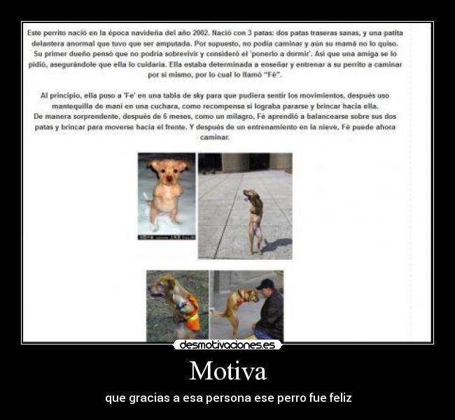 Motiva - 