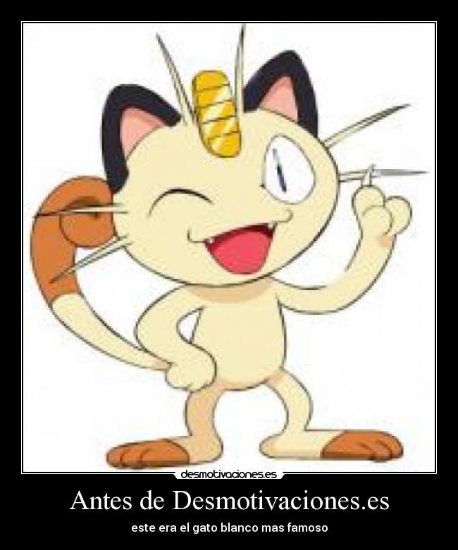 carteles famoso gato desmotivaciones desmotivaciones