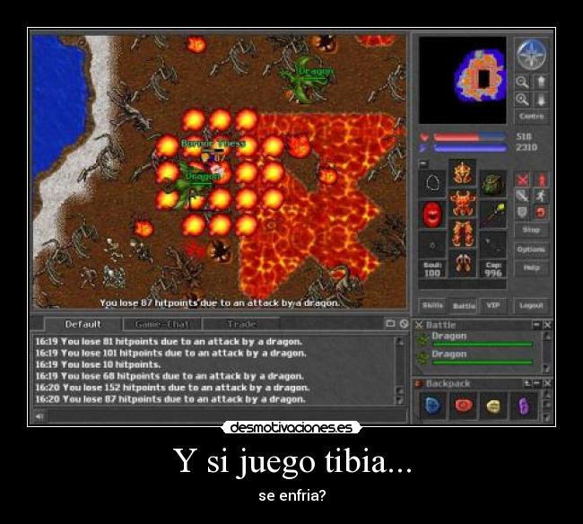 Opiniones de tibia videojuego