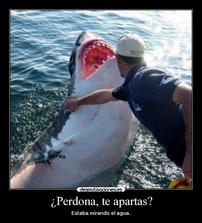 ¿Perdona, te apartas? - Estaba mirando el agua..