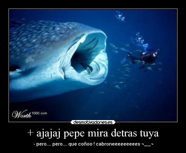 + ajajaj pepe mira detras tuya -