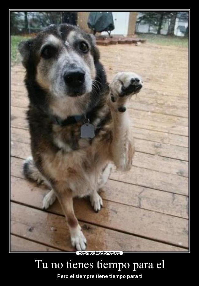 Tu no tienes tiempo para el -