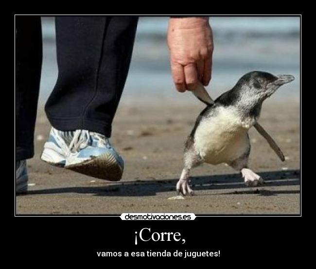 ¡Corre, -