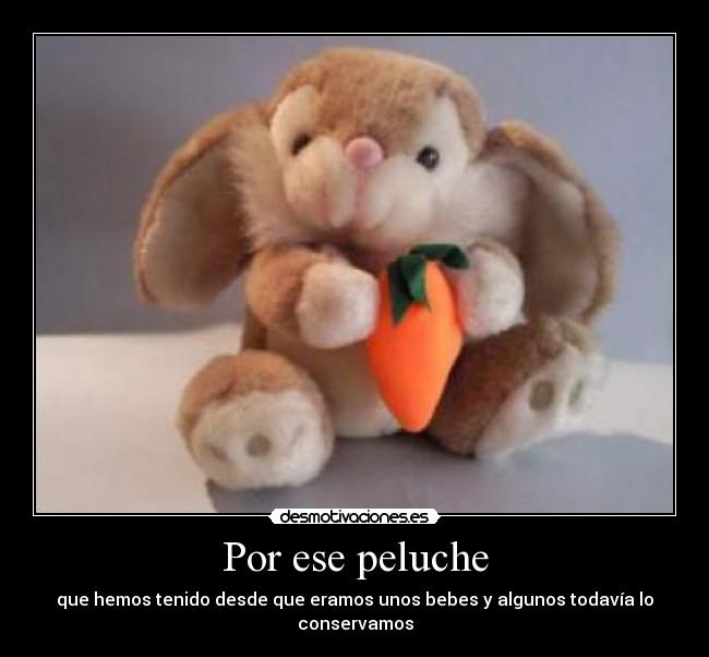 Por ese peluche -
