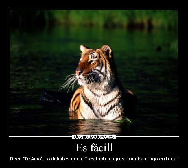 Es fácill - Decir Te Amo, Lo difícil es decir Tres tristes tigres tragaban trigo en trigal