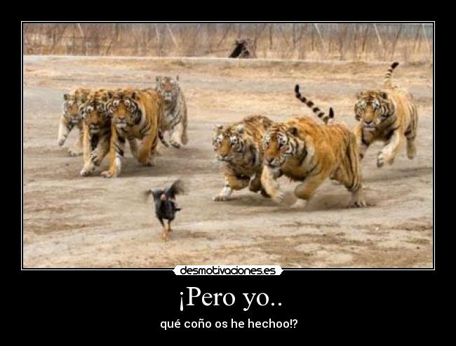 ¡Pero yo.. - 