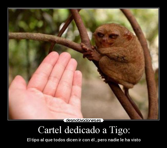 Cartel dedicado a Tigo: - El tipo al que todos dicen ir con él , pero nadie le ha visto