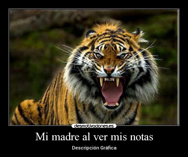 carteles madre tigre madre enfadada desmotivaciones