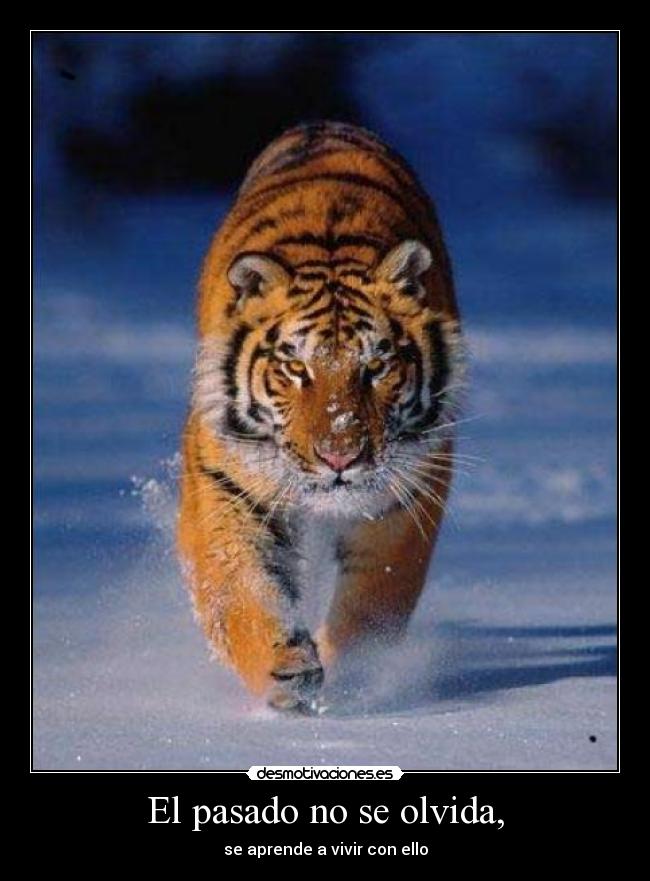 El pasado no se olvida, -