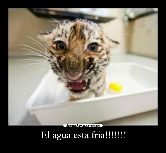 El agua esta fria!!!!!!! - 