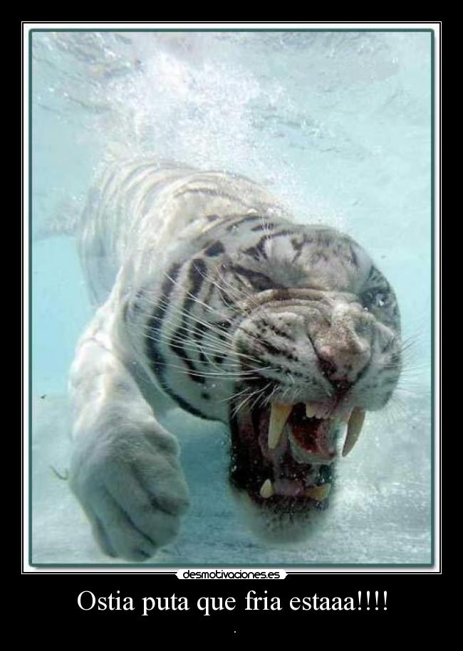 Ostia puta que fria estaaa!!!! -