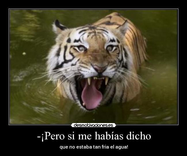 -¡Pero si me habías dicho - que no estaba tan fria el agua!