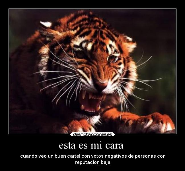 esta es mi cara - cuando veo un buen cartel con votos negativos de personas con reputacion baja