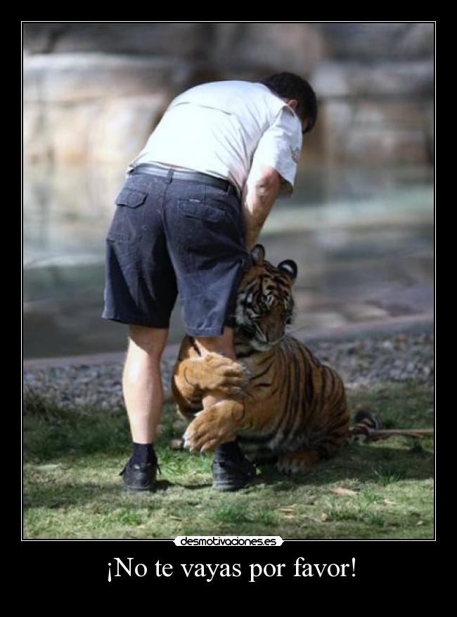 ¡No te vayas por favor! -