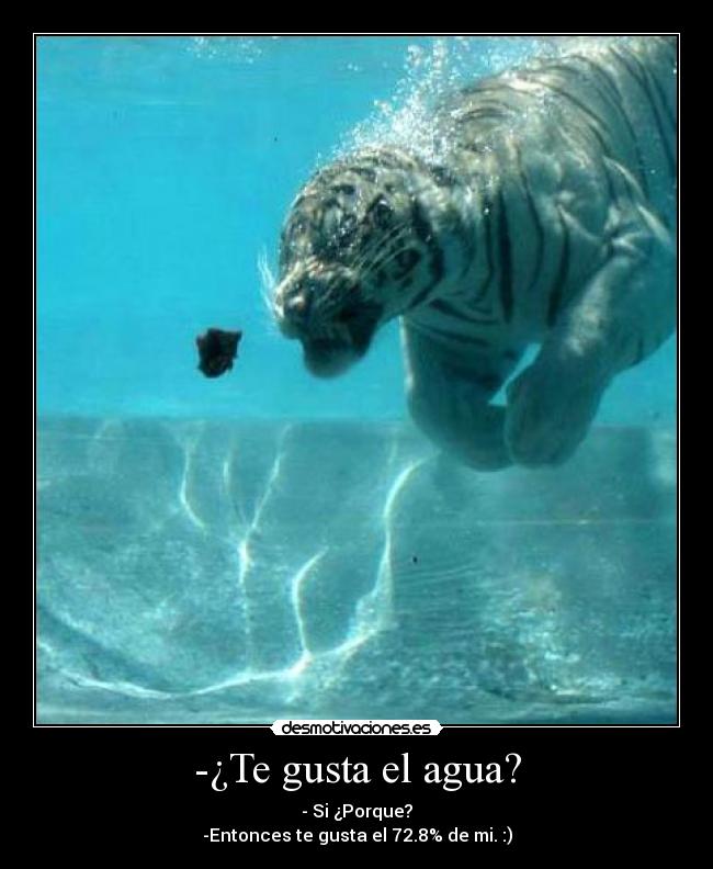 -¿Te gusta el agua? - - Si ¿Porque?
-Entonces te gusta el 72.8% de mi. :)